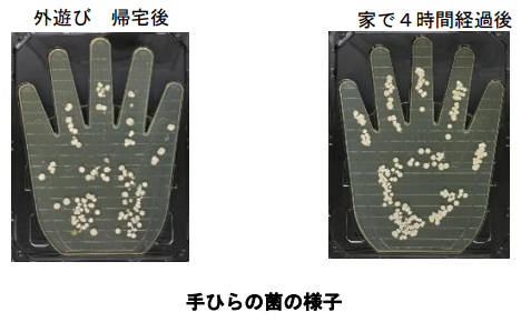 手のひらの菌の様子がわかる写真です。左は外でにじかんあそんだあと、右は家のなかでよじかん過ごしたあとの手に付いた菌の写真です。菌の量はほぼ同じにみえます