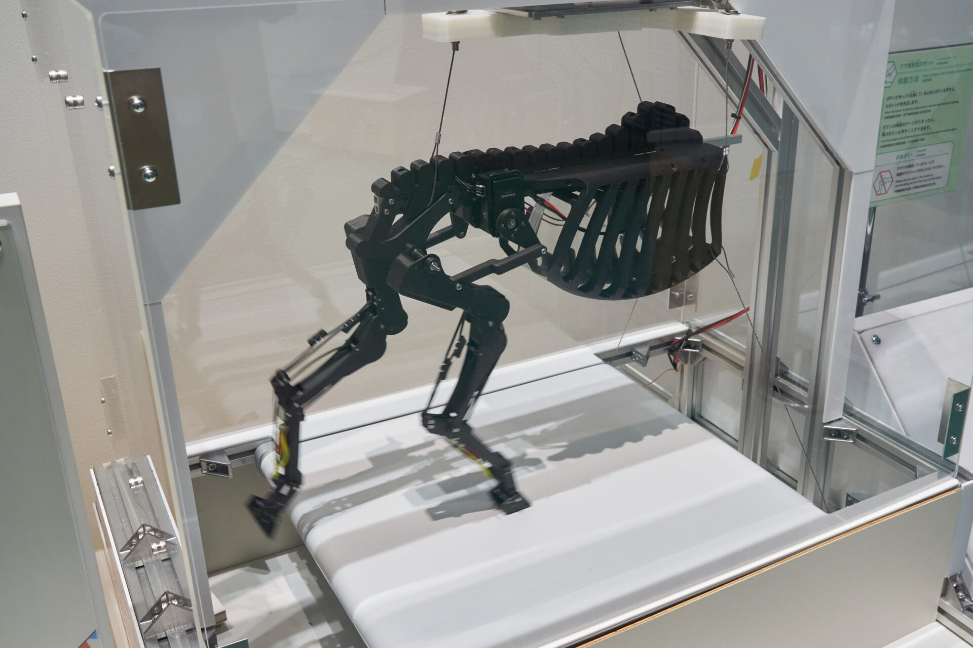 「うまこうしがたロボット」の写真。馬の後ろ足１本にそなわる５つの関節と６本の筋肉や腱の構造を再現したロボットです