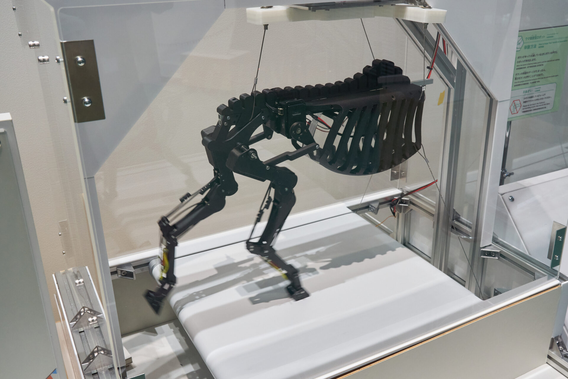 「うまこうしがたロボット」の写真。馬の後ろ足1本にそなわる5つの関節と6本の筋肉や腱の構造を再現したロボットです