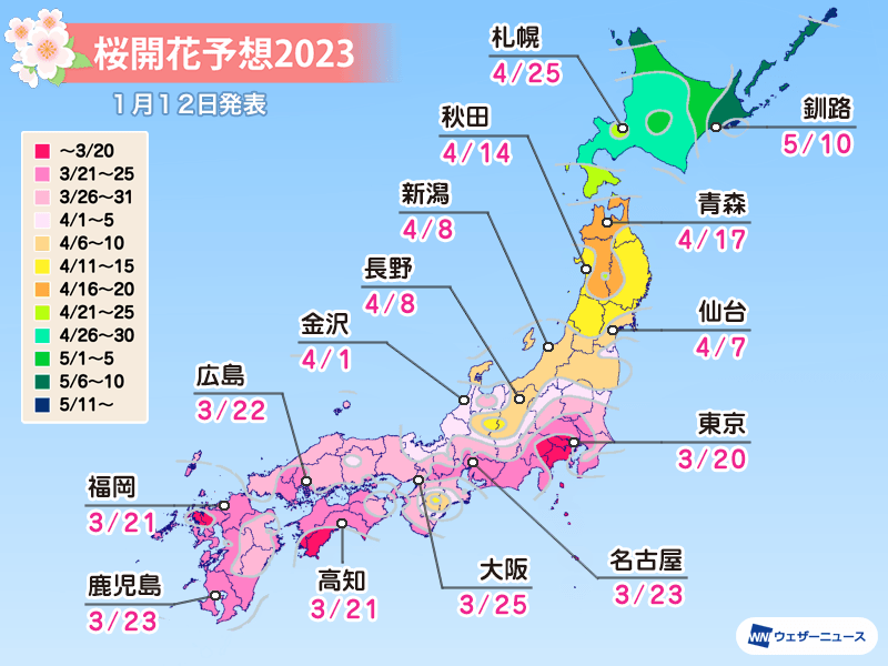 ウェザーニューズが作成した２０２３年シーズンの桜かいか予想のグラフィック。日本地図には各都市の開花よそうびが書かれています