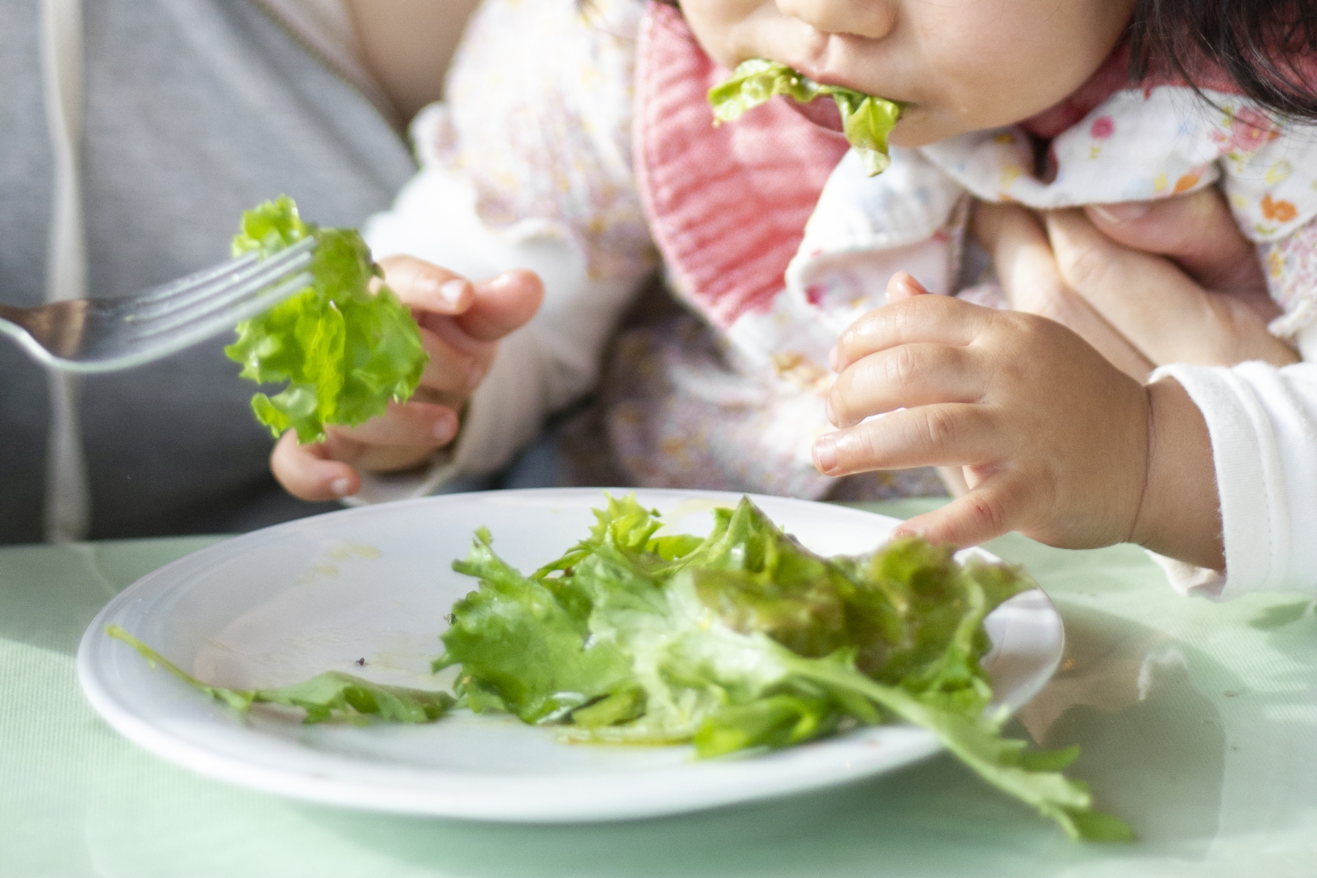 レタスを食べる幼児