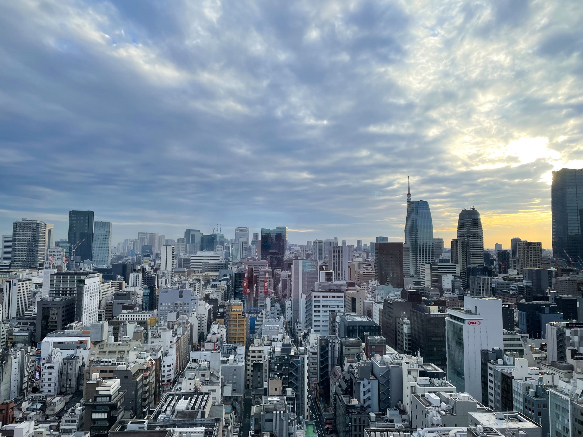 ビルが立ち並ぶ東京都内の街並み