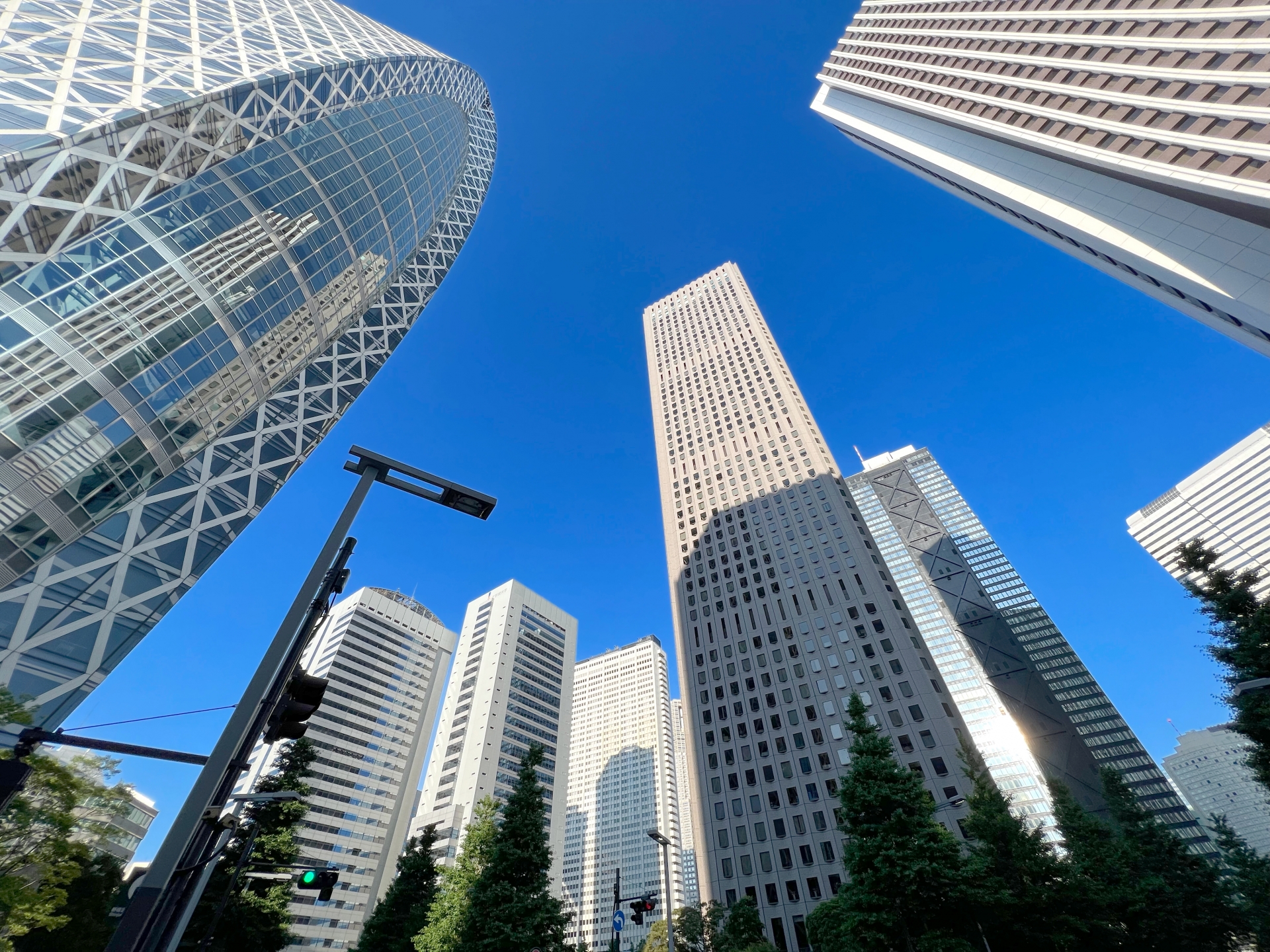 企業が集まる新宿の高層ビル群の写真