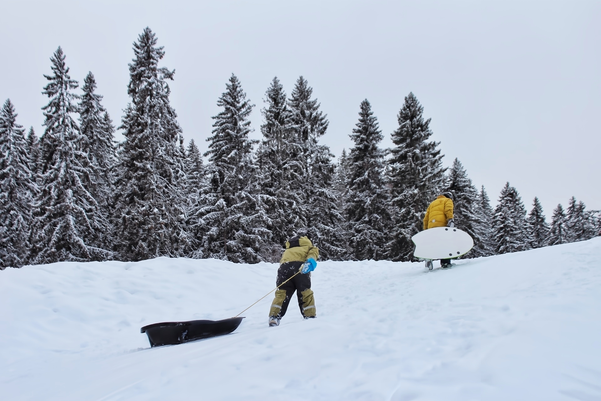 雪のなかをソリで遊ぶ親子