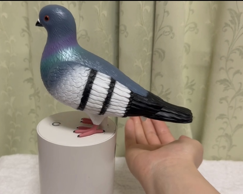 鳩のソープディスペンサーに手をかざしている様子を写した写真。しかしなかなかハンドソープがでてこないので、なにをやっているのかわからない写真になっています