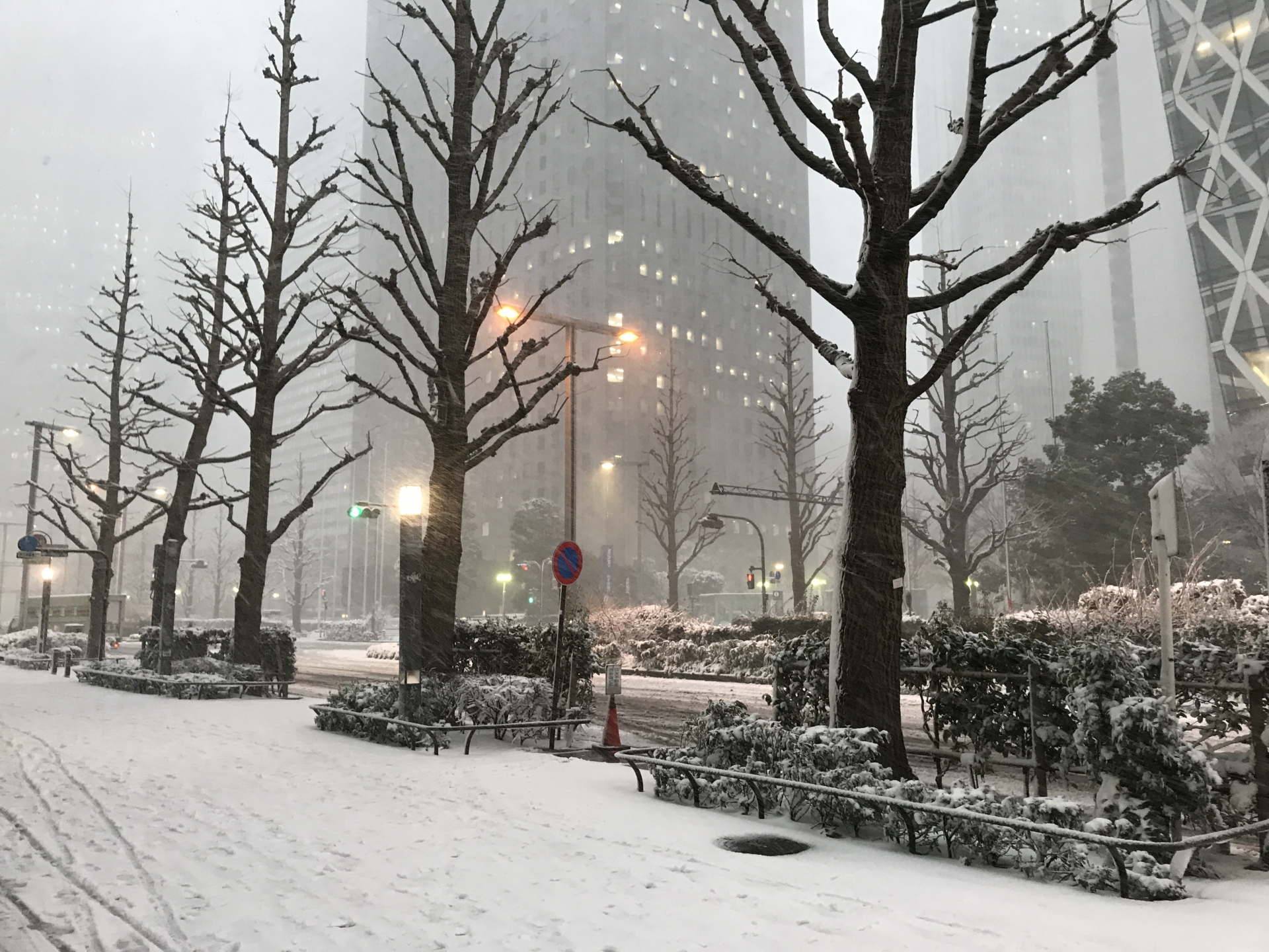 東京・新宿の高層ビル群に積もる雪。こんふゆのせきせつりょうは多いのだろうか？