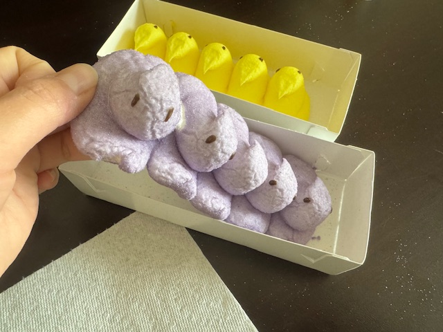 パッケージからだしたイエローとパープルのピープスの写真。6個くらいずつ並んで白い箱にハイっています。パープルのピープスを手で持っているのですが、くっついているのでひとつだけとりだそうとするとぜんぶくっついている様子が写真からわかります。ちなみにひとつ食べちゃったので、5個が横一列にくっついています