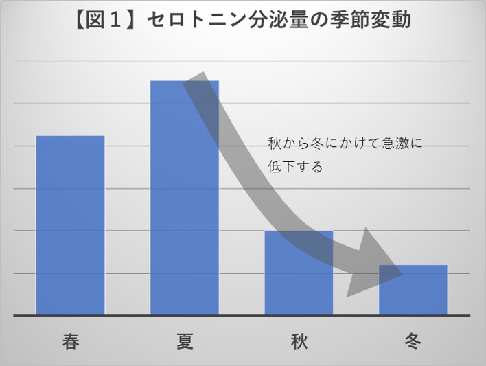 セロトニン分泌量の季節変動 というタイトルの棒グラフ 春から夏にかけてはセロトニン分泌量が増加しているが、夏以降、秋から冬にかけて急激に分泌量が低下している