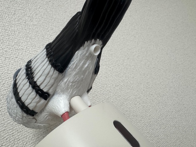 ディスペンサーに乗った鳩のおしりの部分をクローズアップした写真。うんこじゃん、といいたくなる場所からせっけんがでてくるのがわかる写真です