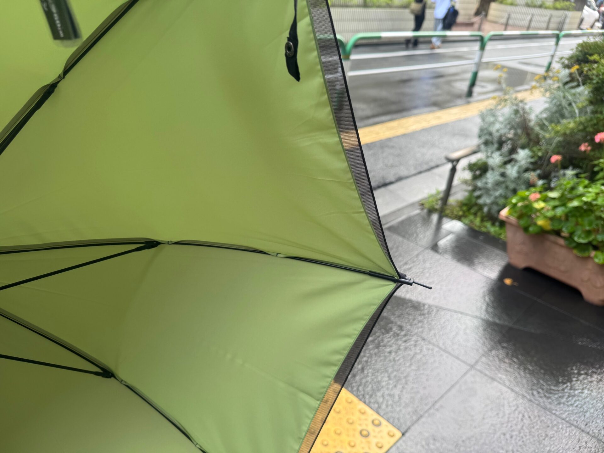 かさをひらいたときのうちがわからみた写真。うちがわわグリーンです