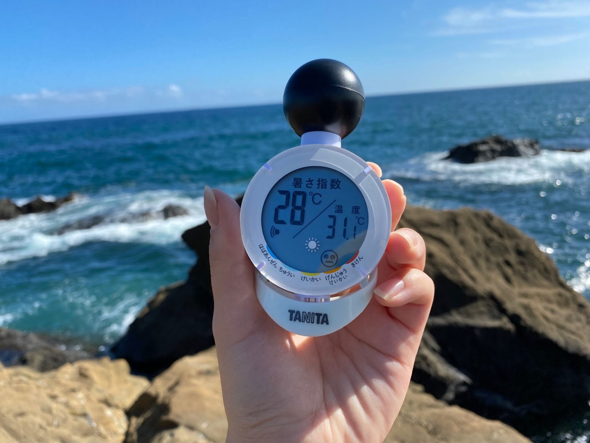 千葉のウミを背景にして撮影したタニタの熱中症計。暑さ指数は２８ど、温度は３１.１どを表示している
