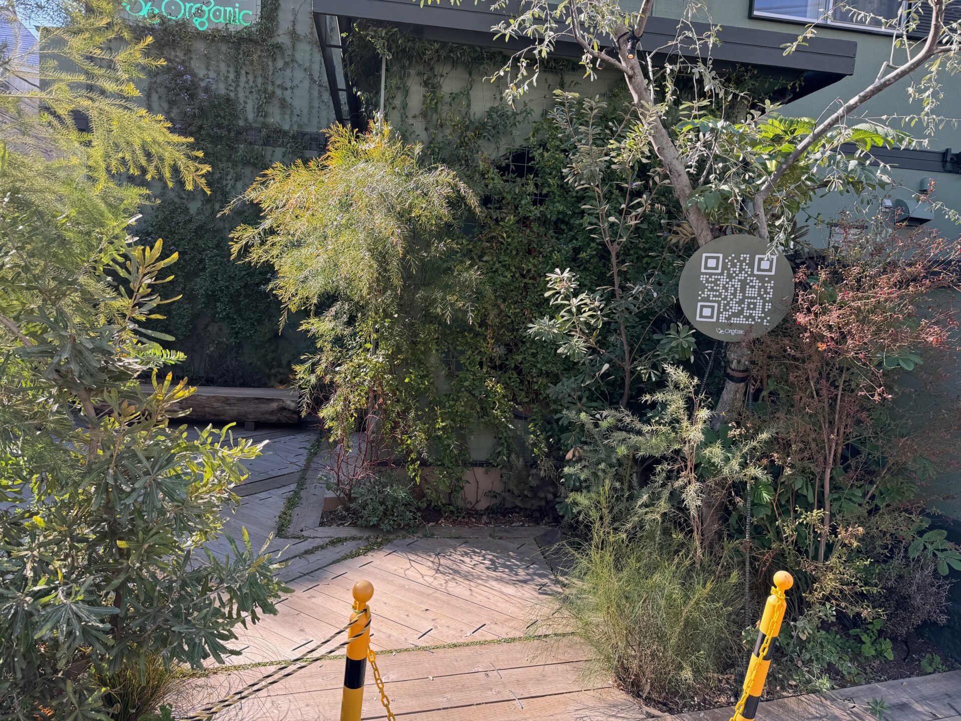 お店の外観写真。植栽に囲まれた入り口に、QRコードがついた看板がたっています