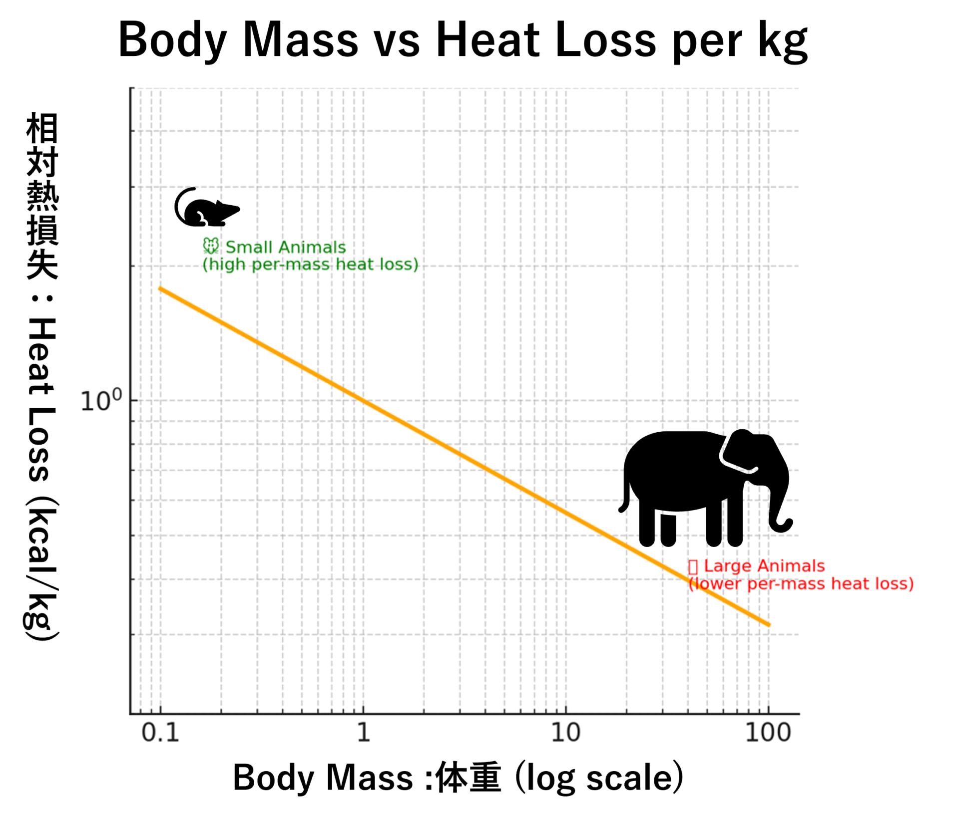 横軸に体重を、10倍ずつ進む対数の目盛りで、縦軸に、体重に対して放熱で失われてしまうエネルギーを表したグラフ。このグラフからは、体重が大きくなればなるほどそうたいてきな熱の発散が抑えられ、失うエネルギーが右肩下がりに小さくなることがわかります