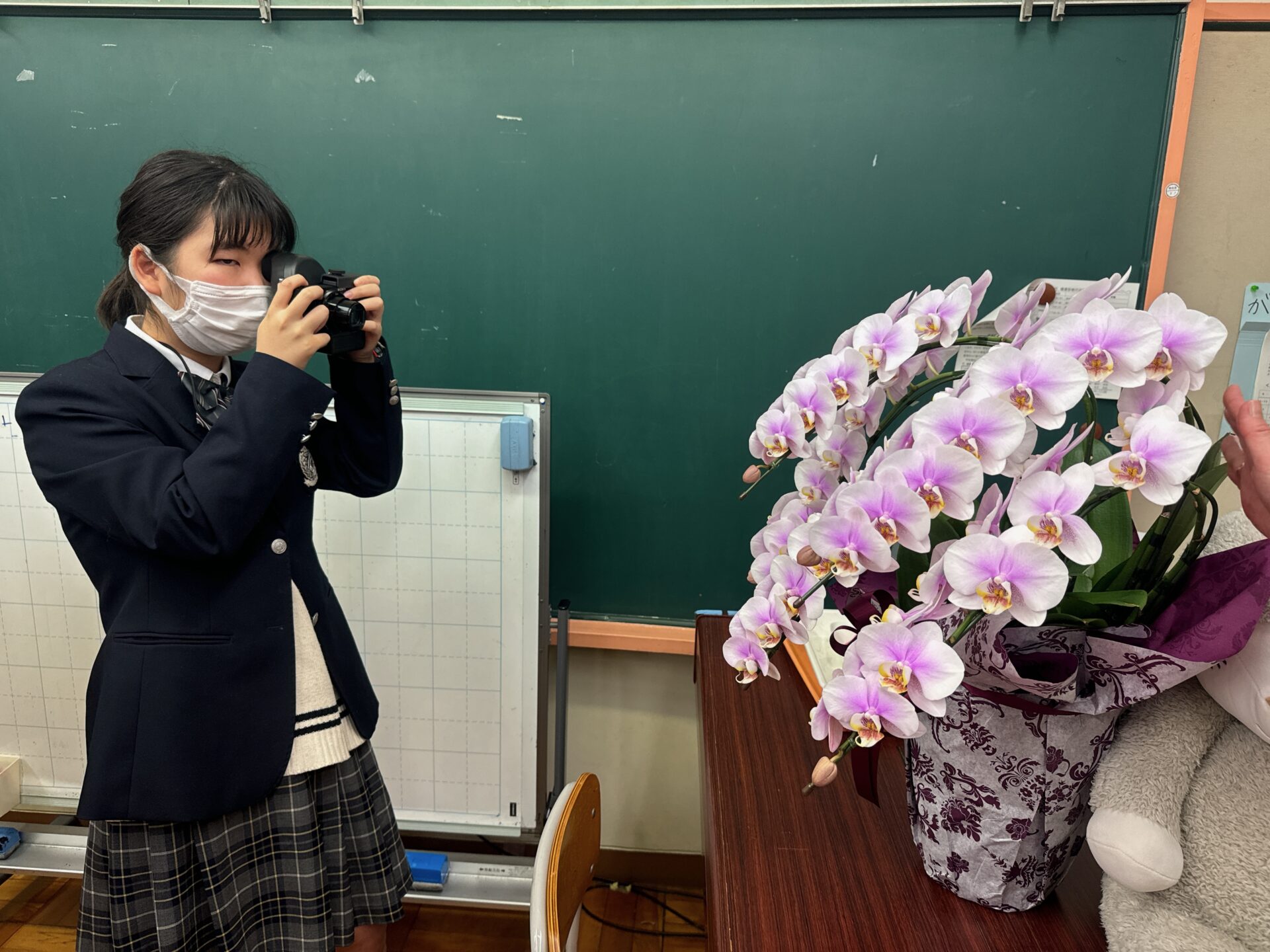 八王子もうがっこうで、高校生のロービジョンの女の子が網膜投影カメラキットのファインダー越しにこちょうらんのハチウエを撮影している様子をうつした写真