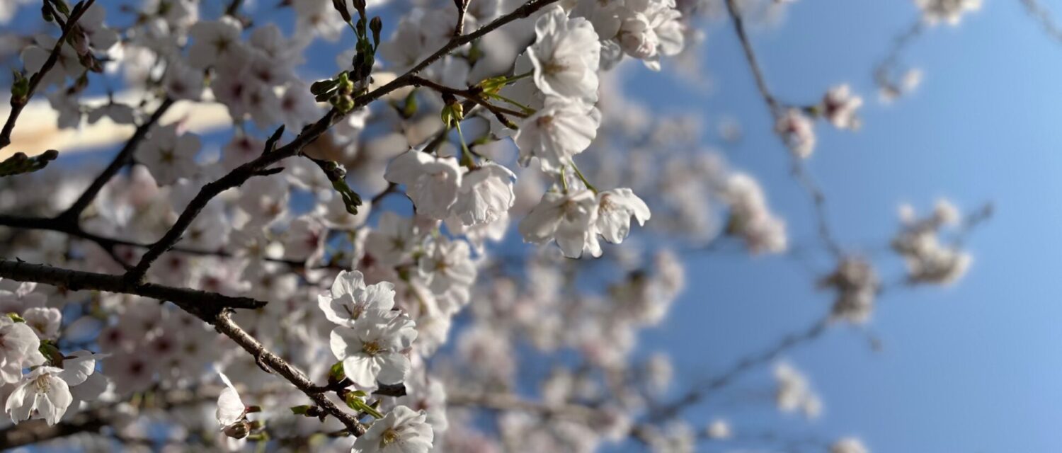 メインビジュアル