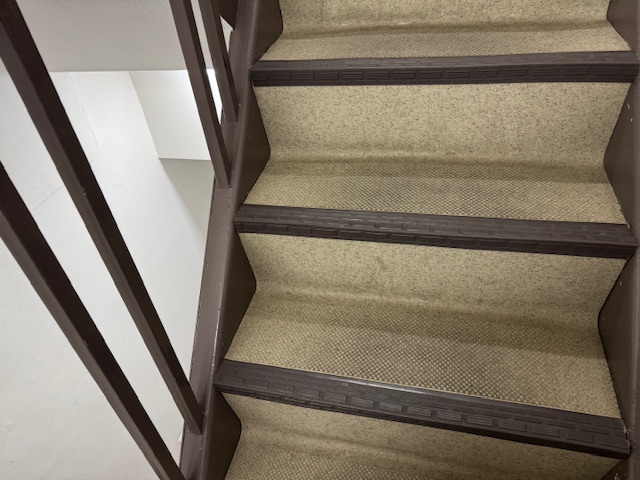 階段の写真。エレベーターはなく道幅の狭い階段オンリーです。3階までけっこうながく感じたので、みえかたによってわガイドさんに手を引いてもらったほうがいいかもしれません