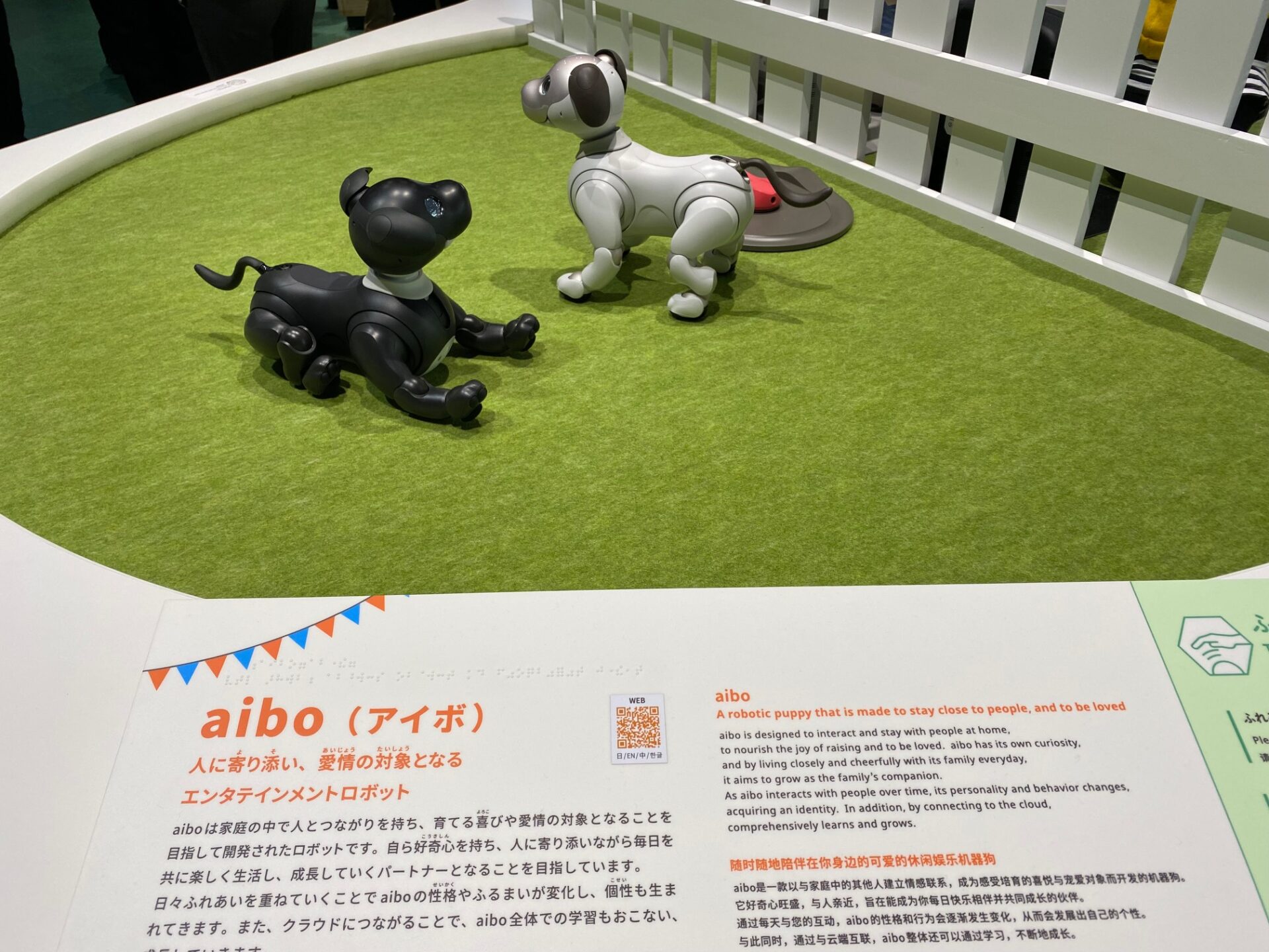 「アイボ」の写真。犬のようなこがたロボットです。座ったりさまざまなしぐさをします。見たり聞いたりしたことがある人も多いのでは。こちらはさわれます