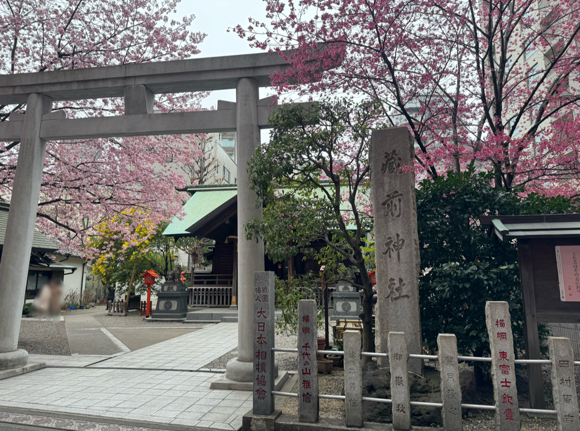 くらまえじんじゃの鳥居まえの写真。桜が咲いていてきれいですが、どんよりしたくもりぞらです