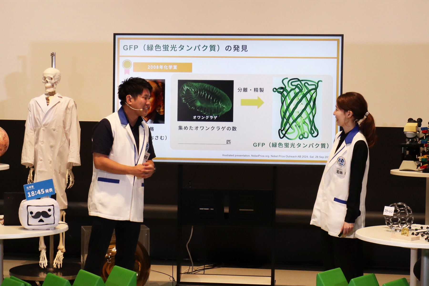 昨年の配信の様子を写した写真。男女ふたりの科学コミュニケーターがモニターのまえに立ちながら解説をしています。モニターには「GFP（みどりいろ蛍光タンパク質）の発見」について図や写真をまじえたスライドが映しだされています。こちらもぜんぽうのテーブルのうえには黒ひげのついたニコニコテレビちゃんのぬいぐるみ、背後にいる人体骨格もけいは白衣をまとっています